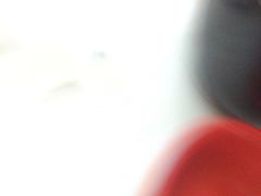 -尊宝比萨(厦大店)