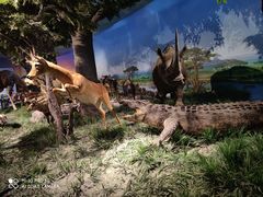 -国家自然博物馆