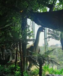 -恐龙探索乐园(磁器口店)