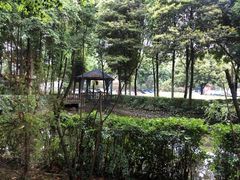 -二荆条·蜀鲜汇城市森林火锅