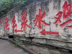 -老幺泉水鸡
