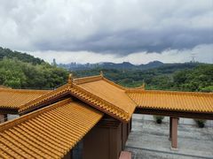 -深圳仙湖植物园