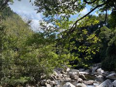 -海南热带雨林国家公园吊罗山景区