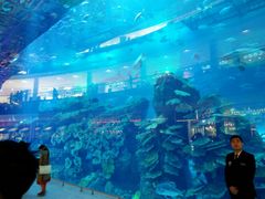 -迪拜水族馆及水下动物园