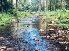 -福清灵石山国家森林公园