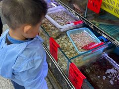 -金海湾海鲜排档(朱家尖店)