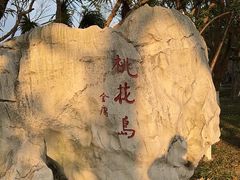 -金鸡湖桃花岛