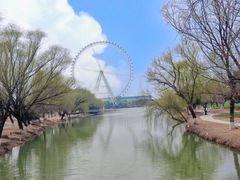 -祥源·阜阳生态乐园