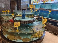 -怀德酒楼·粤菜·海鲜·茶点(宝安国际机场店)