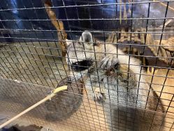 -酷嗒动物文化乐园(cutezoo西溪乐天城店)