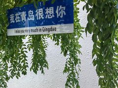 -八大关景区
