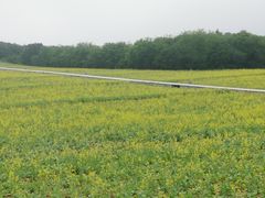 -大连铭湖国际观光牧场
