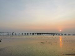 -宝安西湾红树林湿地公园