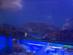 -大丰收海鲜酒楼·专业餐饮30年(连云港老字号店)