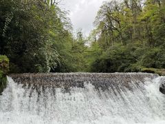 -龙苍沟森林公园