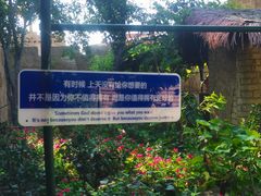 -白洋淀景区