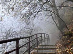 -光雾山旅游景区
