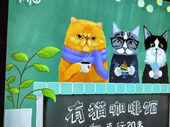 -有猫主题·治愈系猫咖(曾厝垵店)