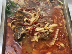 -陈生记黑鱼馆·20年活鱼现杀(宁波鼓楼店)