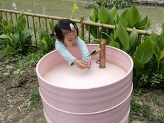 -合肥滨湖国家森林公园