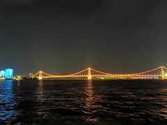 -武汉两江游览·夜游长江(汉口粤汉码头)
