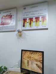 -章光101防脱养发荟