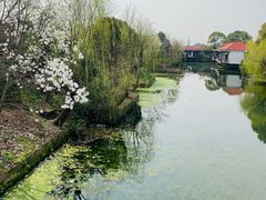 -韩湘水博园