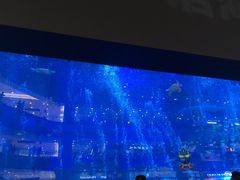 -成都浩海立方海洋公园