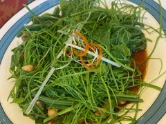 -巴依老爷新疆美食(工体旗舰店)