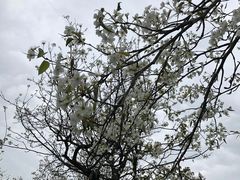 -黄龙溪欢乐田园