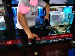 好大的鱼我抱不动-全乐鱼馆·淳牌有机鱼直营店