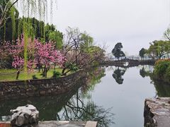 -无锡蠡湖国家湿地公园-蠡园