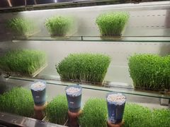 -蜀大侠火锅(四川北路店)
