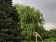 -黑龙江省森林植物园