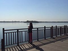 -武清南湖绿博园