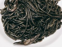 威尼斯风味墨鱼汁意面-萨莉亚(巴黎春天成山店)