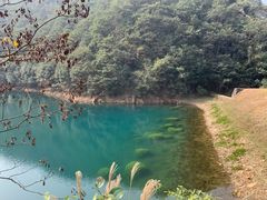 -午潮山国家森林公园
