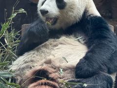 -石家庄市动物园