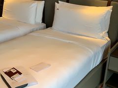 -新加坡瑞士史丹福酒店