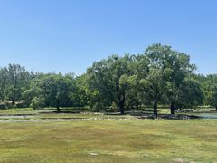 -北京麋鹿生态实验中心