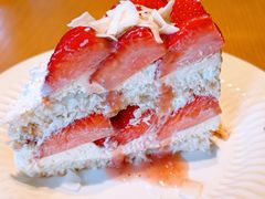 -O'eat Blossom&Pelican(深圳首店)