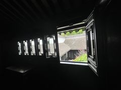 -绮园景区