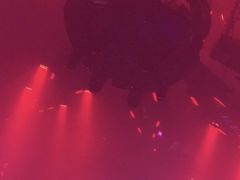 -TG·ULTRA天宫酒吧(广州旗舰店)