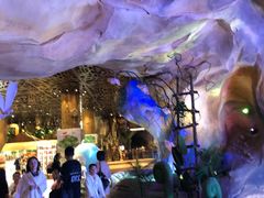 -杭州开元森泊度假乐园