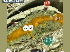 -七叔是岛民(花基新村店)