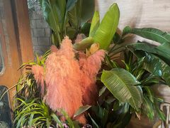 -春暖花开(西溪店)
