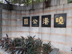 -晓港公园