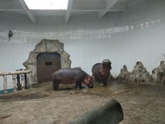 -新疆天山野生动物园