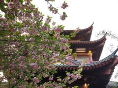 -堤角公园