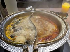 -火炉火自助餐(枫蓝国际店)